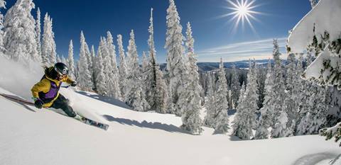 Powder skier at Steamboat Resort