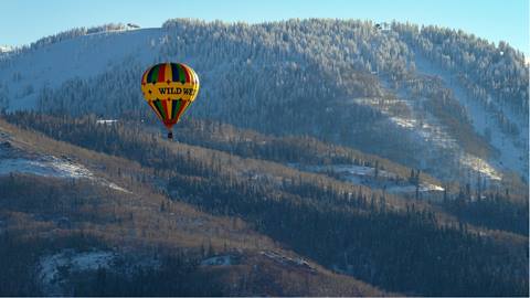 Hot Air Balloon