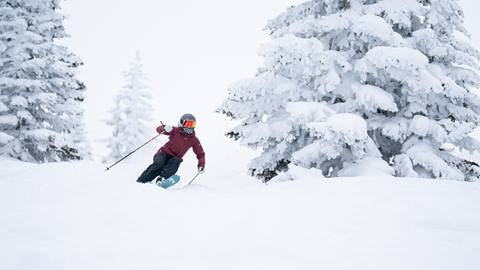 Powder Skier